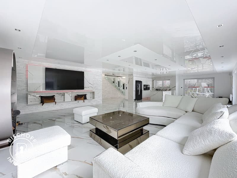Beautiful villa only 15 minutes from Basel (2)