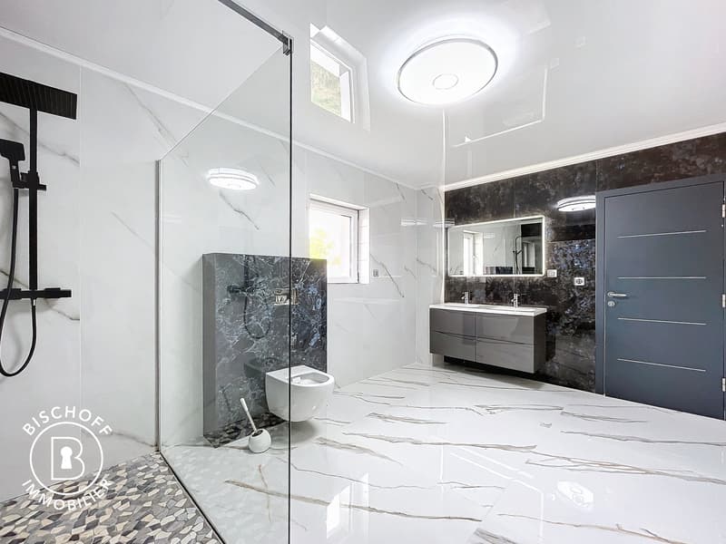 Beautiful villa only 15 minutes from Basel (8)