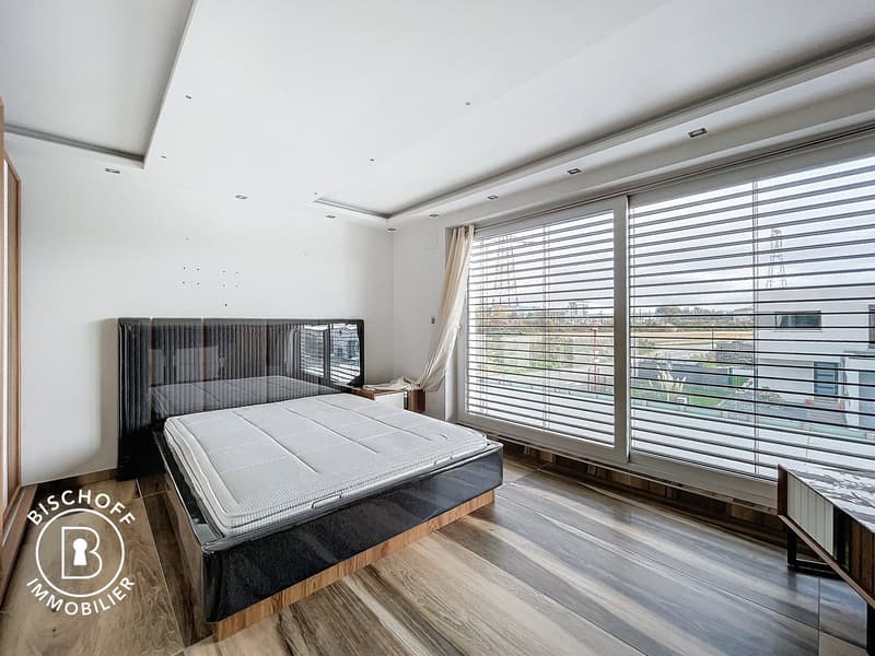 Beautiful villa only 15 minutes from Basel (14)