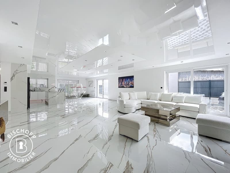 Beautiful villa only 15 minutes from Basel (3)