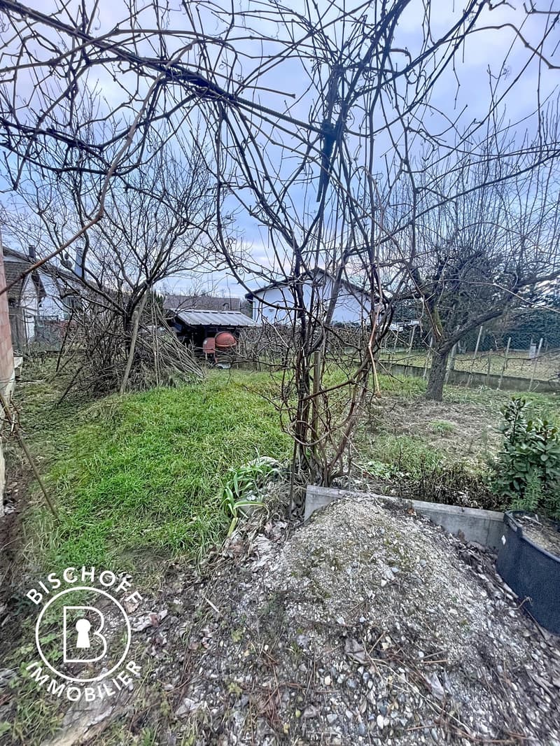 Charming single-family house with garden in Kembs – available immediately! (23)