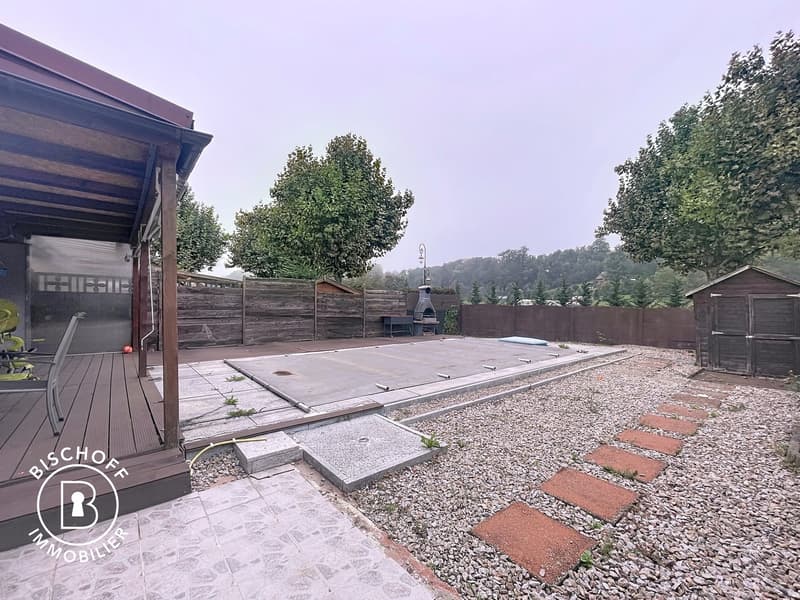 House with pool, near the border (15)