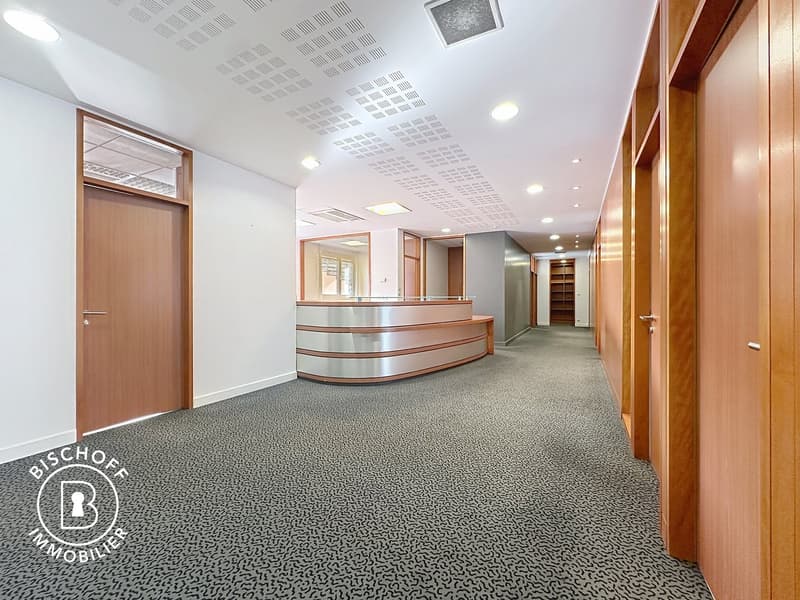 Modern office space in the heart of Saint-Louis (2)