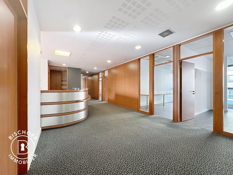 Modern office space in the heart of Saint-Louis (1)