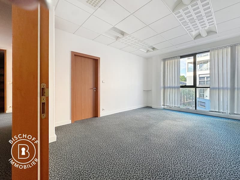 Modern office space in the heart of Saint-Louis (13)