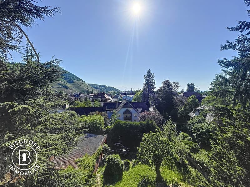 Charming single-family house from 1920 in a quiet location in Thann (26)