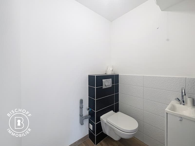 Appartamento moderno di 3 locali con balcone a Saint-Louis (15)