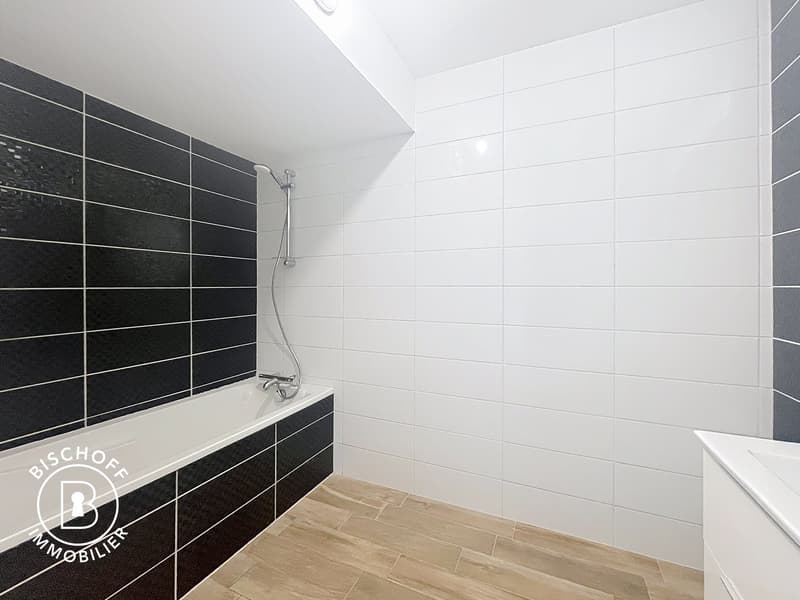 Appartamento moderno di 3 locali con balcone a Saint-Louis (17)