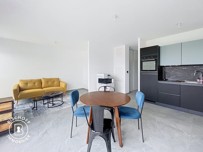 Appartamento moderno di 1 camera con balcone e vista panoramica a Saint-Louis (14)