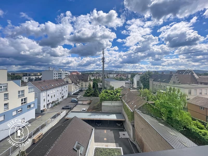 Appartamento moderno di 1 camera con balcone e vista panoramica a Saint-Louis (25)