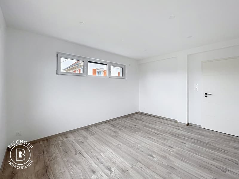 Neubau am 17 km von Basel entfernt (33)