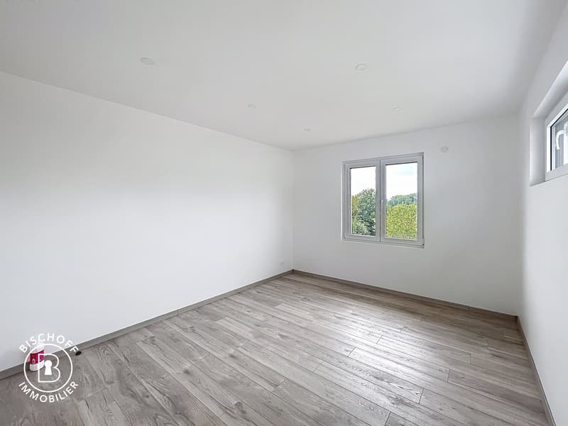 Neubau am 17 km von Basel entfernt (31)