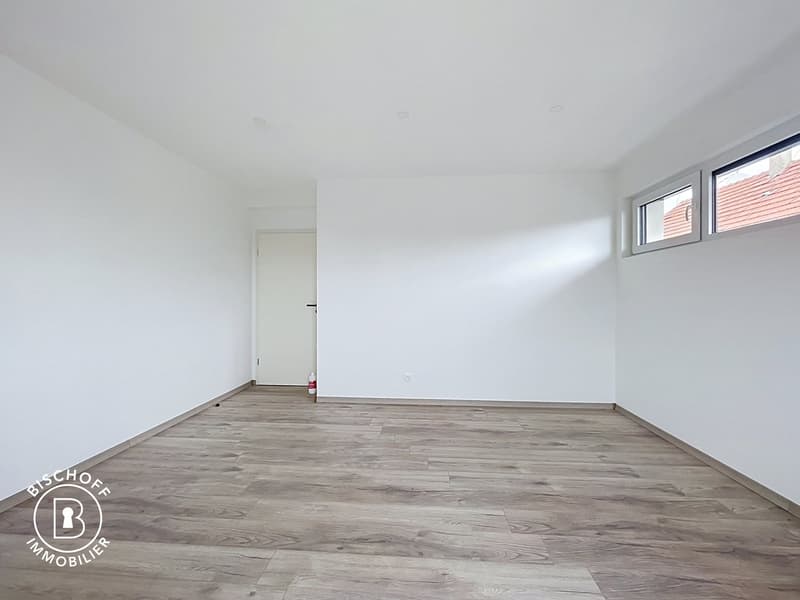 Neubau am 17 km von Basel entfernt (26)