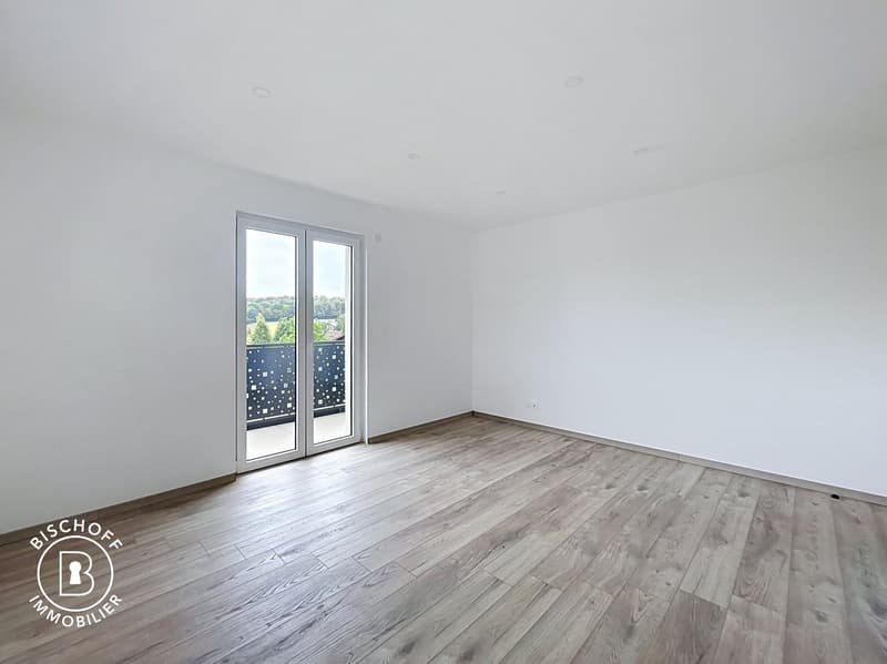 Neubau am 17 km von Basel entfernt (23)