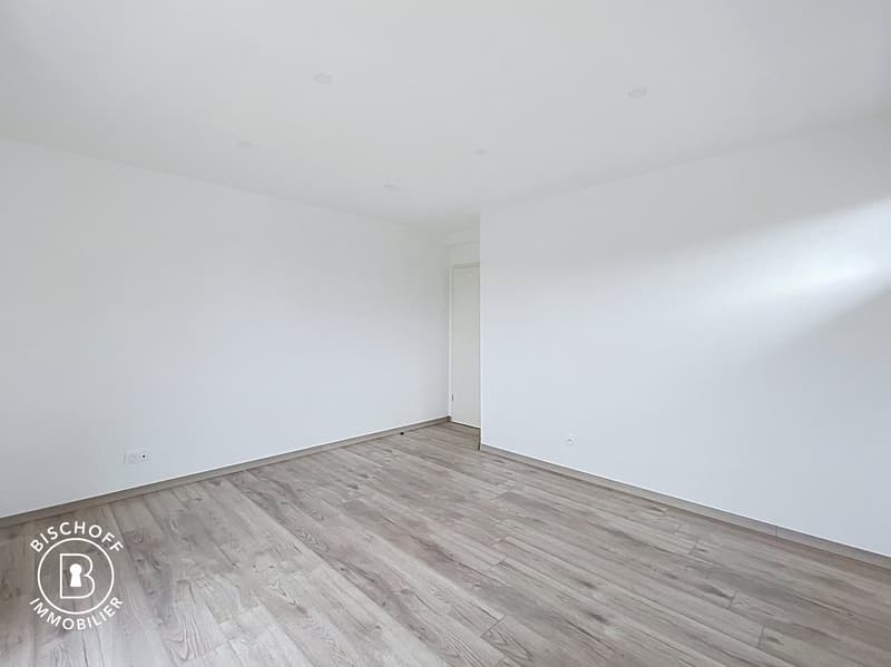 Neubau am 17 km von Basel entfernt (24)