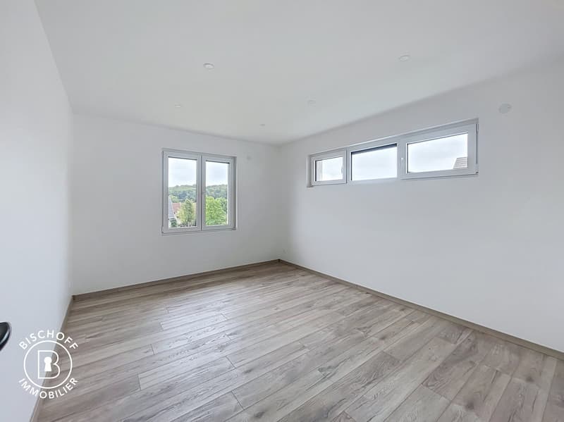 Neubau am 17 km von Basel entfernt (28)