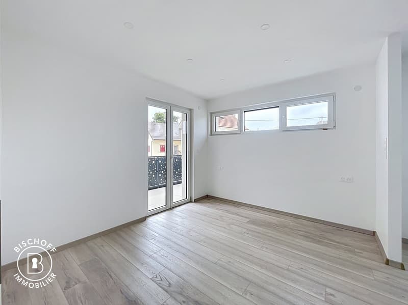 Neubau am 17 km von Basel entfernt (13)