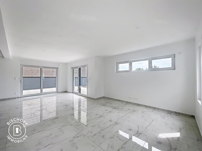 Neubau am 17 km von Basel entfernt (4)
