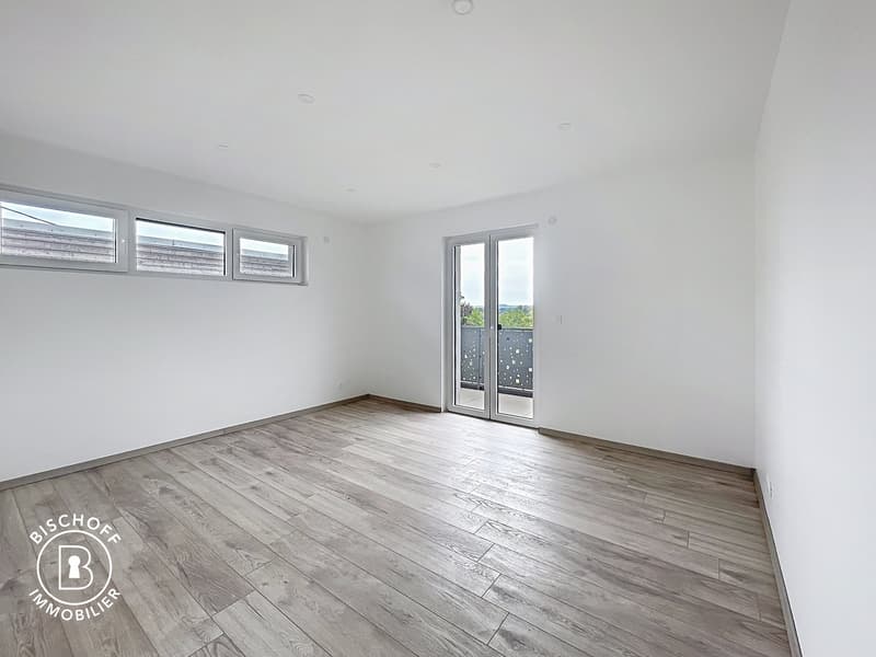 Neubau am 17 km von Basel entfernt (21)