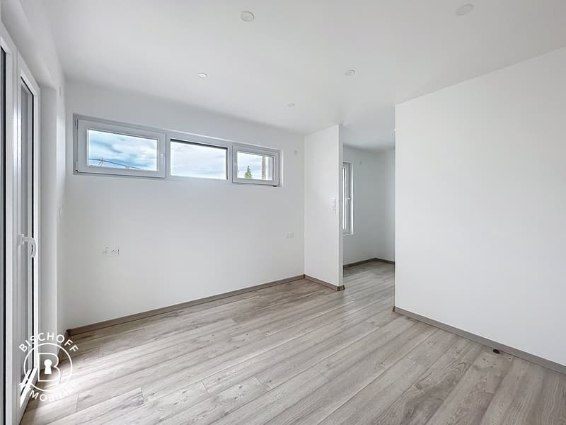 Neubau am 17 km von Basel entfernt (15)