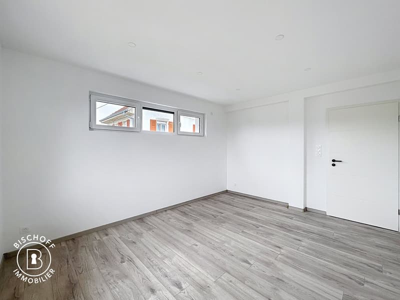 Neubau am 17 km von Basel entfernt (32)