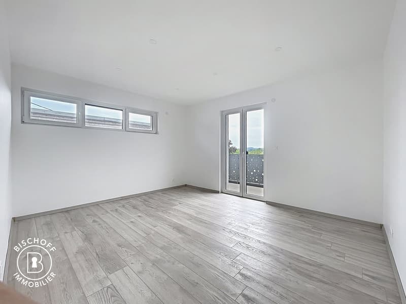 Neubau am 17 km von Basel entfernt (22)