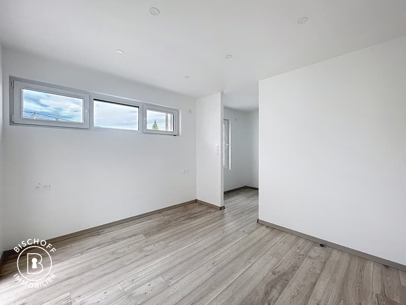 Neubau am 17 km von Basel entfernt (14)