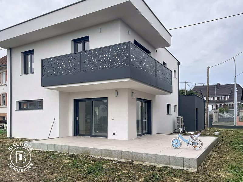 Neubau am 17 km von Basel entfernt (37)