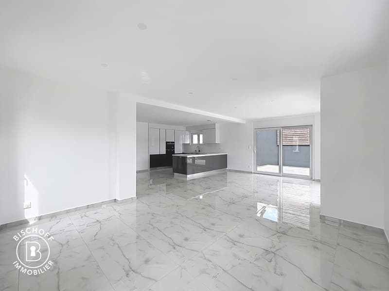 Neubau am 17 km von Basel entfernt (2)
