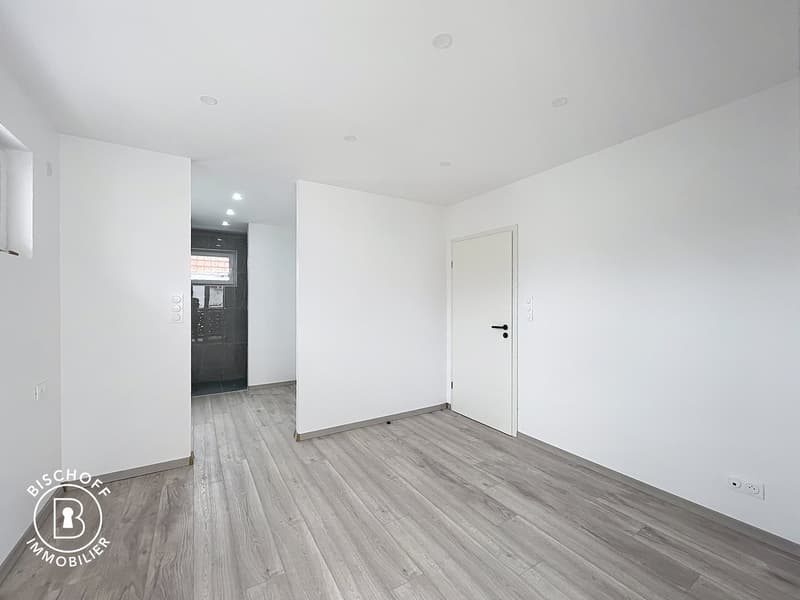Neubau am 17 km von Basel entfernt (16)