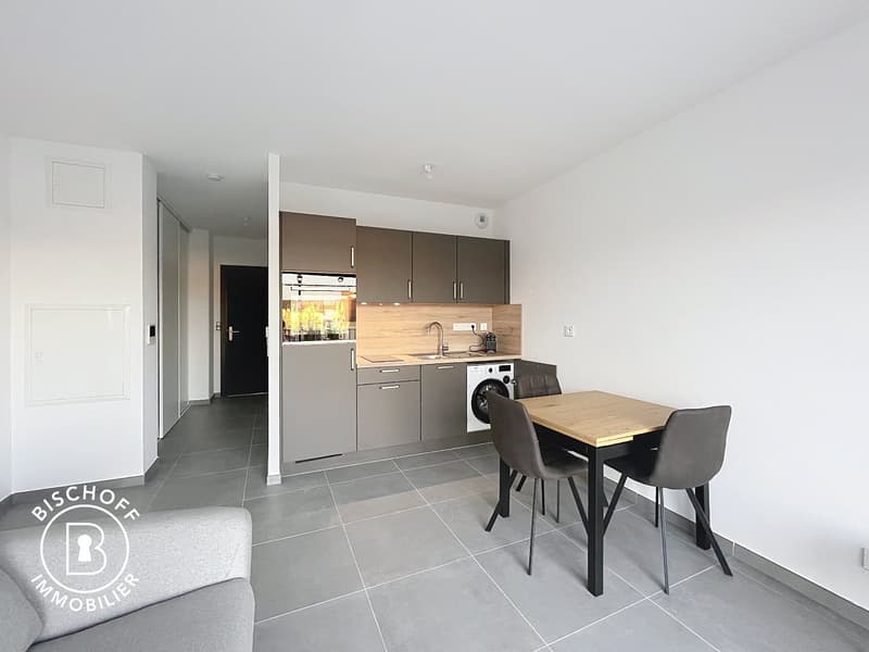 Modernes 1.5-Zimmer-Apartment in Saint-Louis – Sofort verfügbar (8)