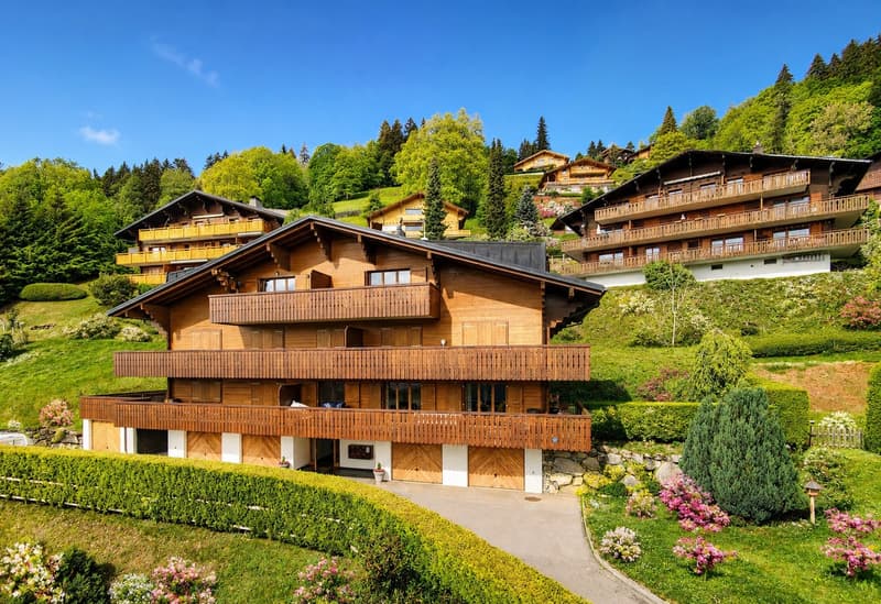VILLARS-SUR-OLLON, EXCEPTIONAL VIEW, SPACIOUS 3.5 ROOMS IN THE ATTIC (2)
