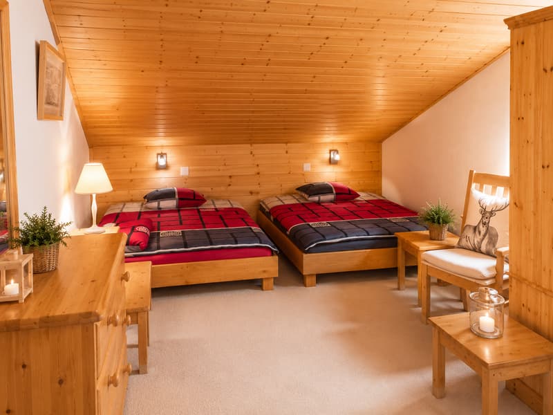 VILLARS-SUR-OLLON, EXCEPTIONAL VIEW, SPACIOUS 3.5 ROOMS IN THE ATTIC (10)
