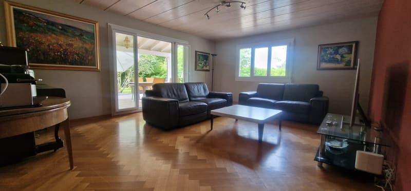 Beautiful 7-room property with large living spaces and superb garden (11)