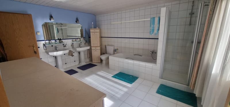 Beautiful 7-room property with large living spaces and superb garden (20)
