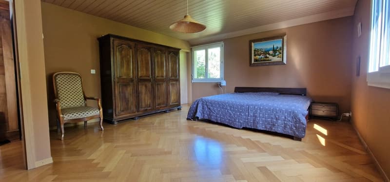 Beautiful 7-room property with large living spaces and superb garden (19)
