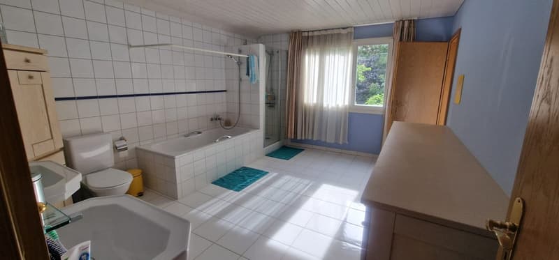 Beautiful 7-room property with large living spaces and superb garden (21)