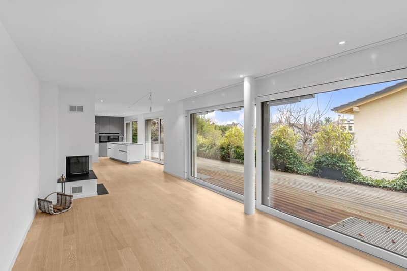 Magnificent contemporary townhouse with lake view (7)