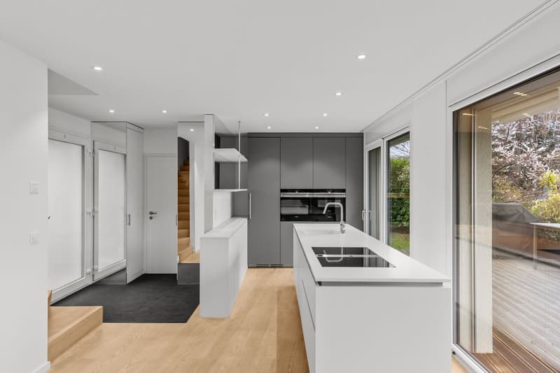 Magnificent contemporary townhouse with lake view (4)