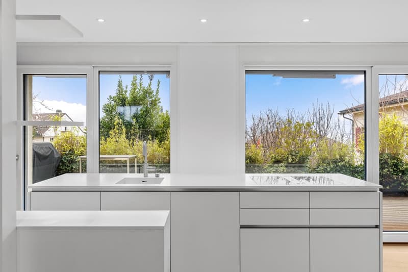 Magnificent contemporary townhouse with lake view (6)