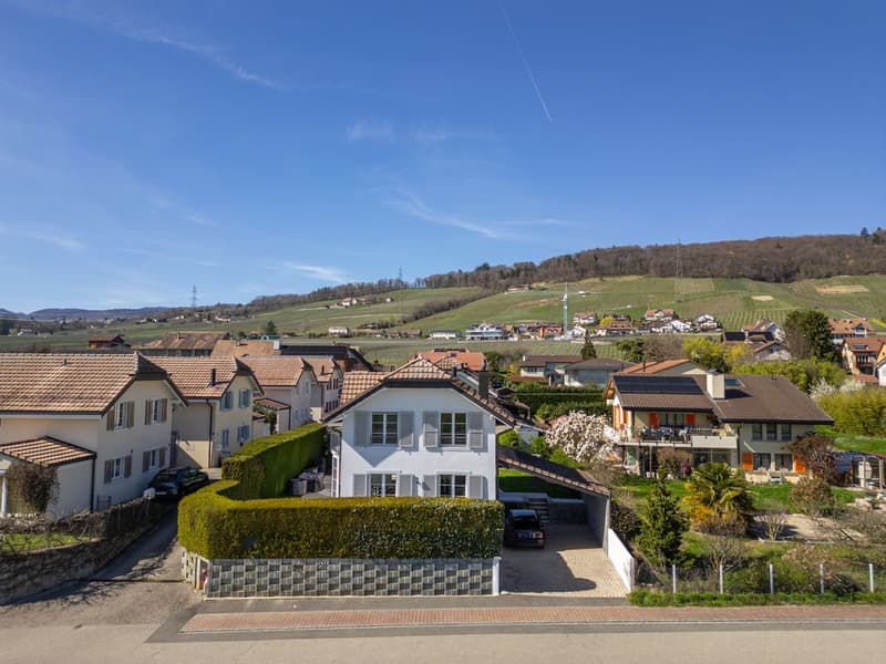 Magnificent individual family villa in the heart of the Côte (5)