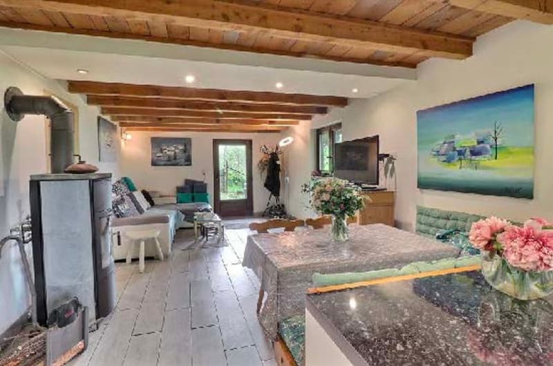 Private or investor, chalet with high potential in Villars-sur-Ollon (6)