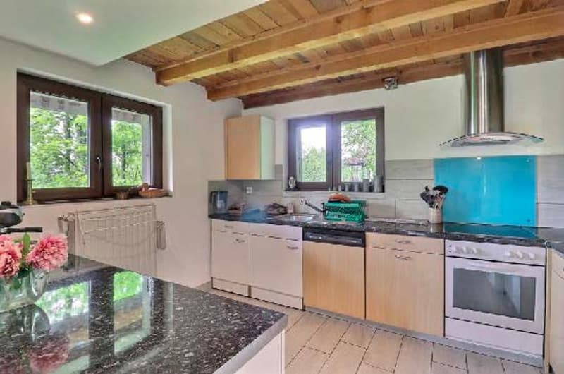 Private or investor, chalet with high potential in Villars-sur-Ollon (3)