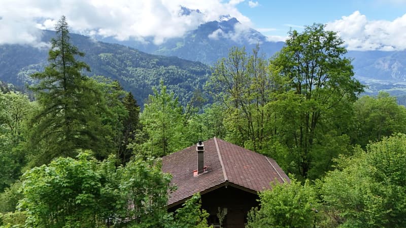 Private or investor, chalet with high potential in Villars-sur-Ollon (1)