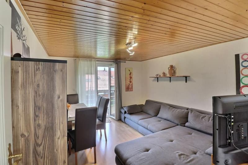 Villaggio di Arzier, casa indipendente con 2 appartamenti (3)
