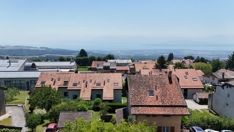 Villaggio di Arzier, casa indipendente con 2 appartamenti (9)