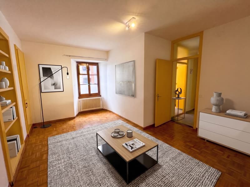 Studio von 35m² im Erdgeschoss eines historischen Gebäudes (1)