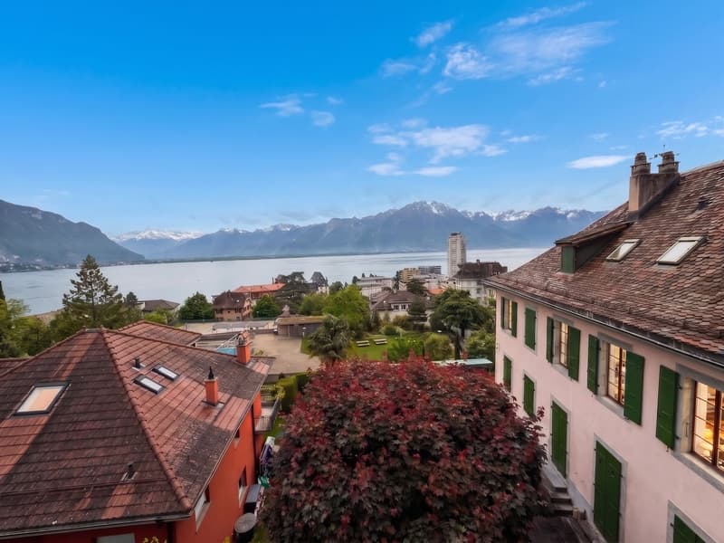Helles 2,5-Zimmer-Wohnung mit Seeblick und Bergblick (6)