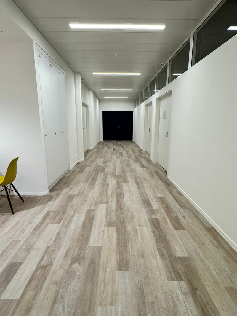 I vostri laboratori industriali o magazzino - Magazzino - da 40 m2 a 230 m2 al prezzo di 210 CHF al m2/anno (2)