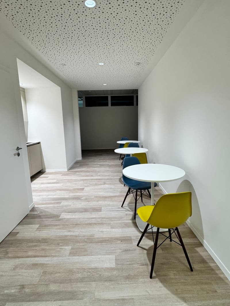 I vostri laboratori industriali o magazzino - Magazzino - da 40 m2 a 230 m2 al prezzo di 210 CHF al m2/anno (5)